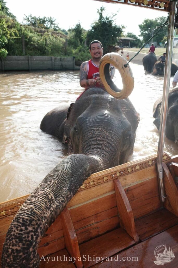 Couple enjoying a private Ayutthaya river cruise, touching an elephant by the riverside, unique cultural experience in Thailand Ayutthaya River Cruise Ayutthaya Private Boat Tour Ayutthaya Island Cruise Elephant & River Life Cruise Ayutthaya Ayutthaya Riverside Photography ล่องเรืออยุธยา ล่องเรือเจ้าพระยา อยุธยา ล่องเรือส่วนตัว อยุธยา ล่องเรืออยุธยา ถ่ายรูป